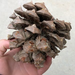 Meet your Posher, Mitchell